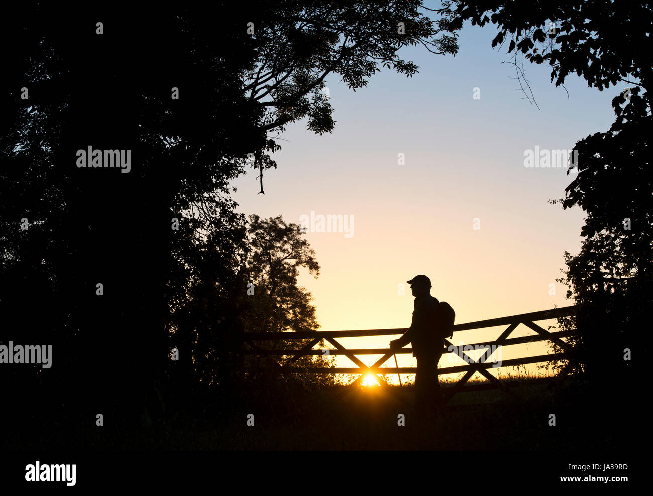 Silhouette walker in piedi da un gate all'alba nella campagna inglese. Cotswolds, Oxfordshire, Inghilterra Foto Stock