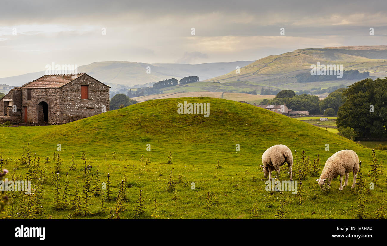 Fiume Ure, Yorkshire Dales panorama. Foto Stock