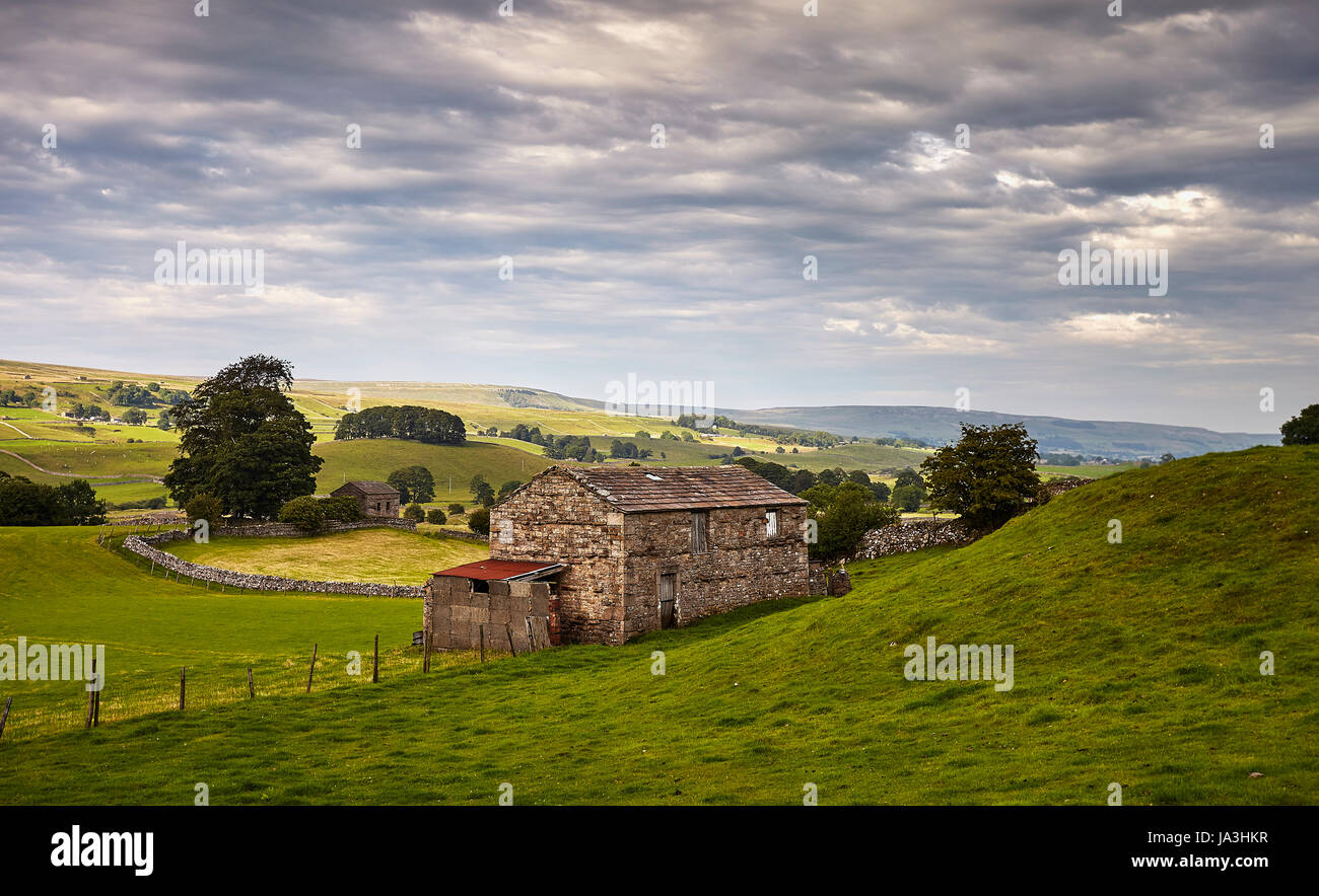 Fiume Ure, Yorkshire Dales panorama. Foto Stock