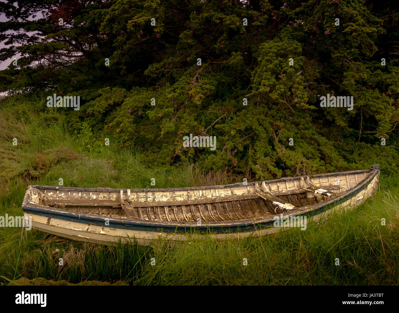 Barca di legno vecchio, canottaggio, barche a remi, barca a vela, barca a vela, natante, Foto Stock