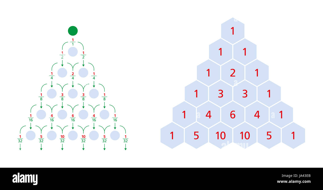 Tavola di Galton distribuzione normale e il triangolo di Pascal, una matrice triangolare dei coefficienti binomiali. Bean, macchina di Galton box, quinconce. Foto Stock