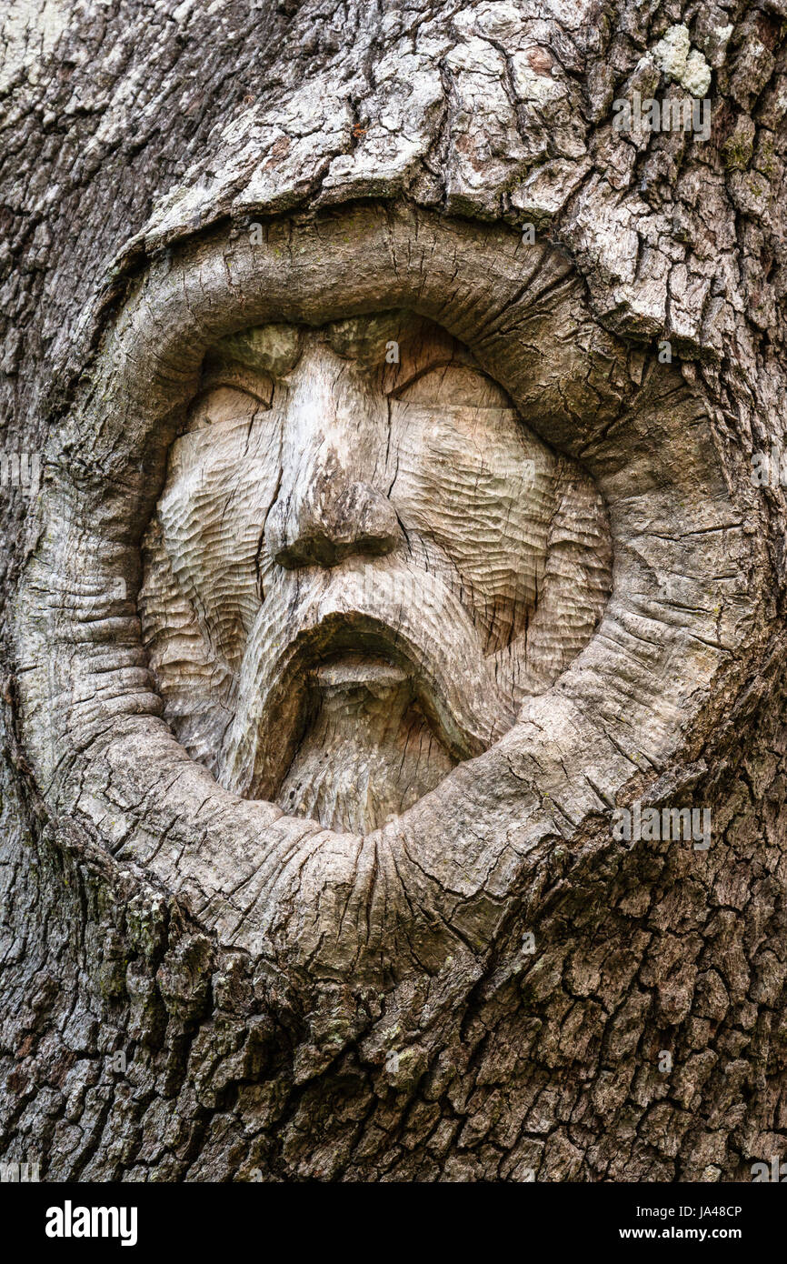 Con il loro triste e dolorosa espressioni, la struttura ad albero spiriti di San Simons Island, sembrano riflettere il dolore di aspetto degli alberi stessi con il Foto Stock