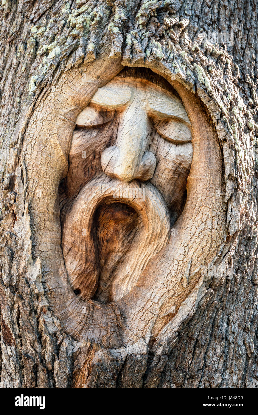 Con il loro triste e dolorosa espressioni, la struttura ad albero spiriti di San Simons Island, sembrano riflettere il dolore di aspetto degli alberi stessi con il Foto Stock