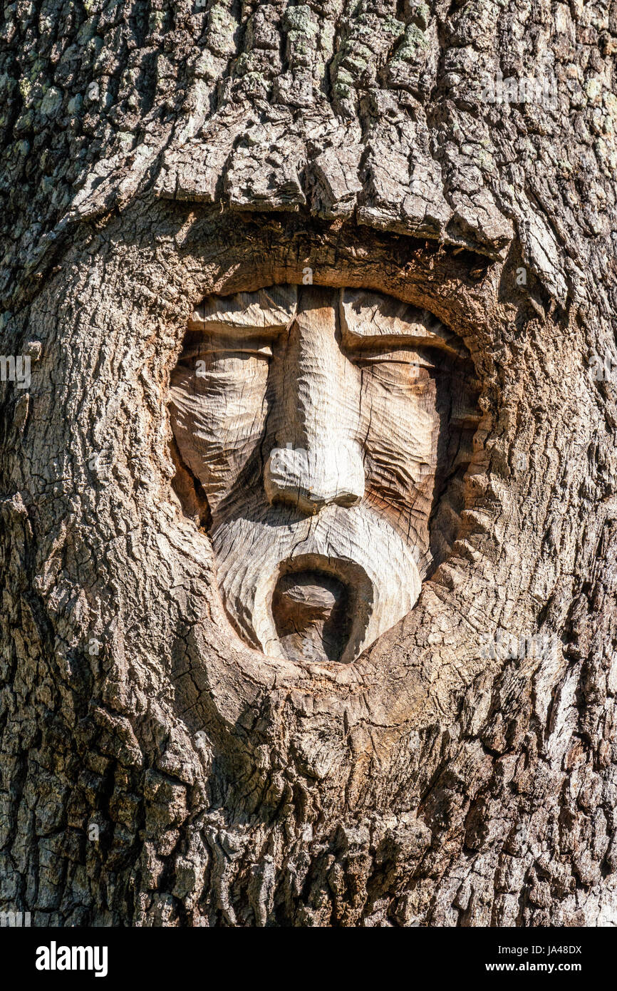 Con il loro triste e dolorosa espressioni, la struttura ad albero spiriti di San Simons Island, sembrano riflettere il dolore di aspetto degli alberi stessi con il Foto Stock