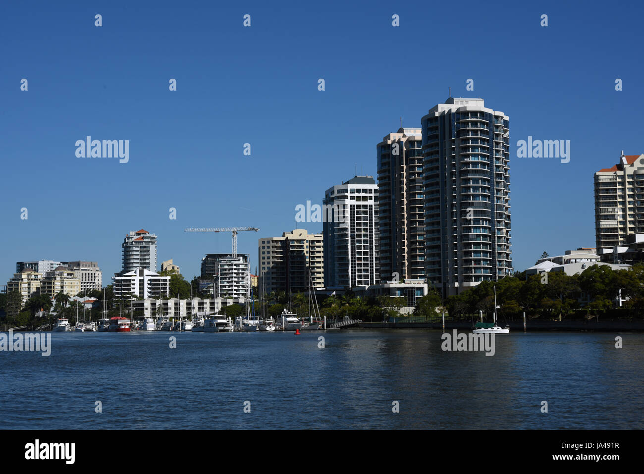 Il Kangaroo Point, Brisbane, Australia: alta edifici di appartamenti di rivestimento del Fiume Brisbane Foto Stock