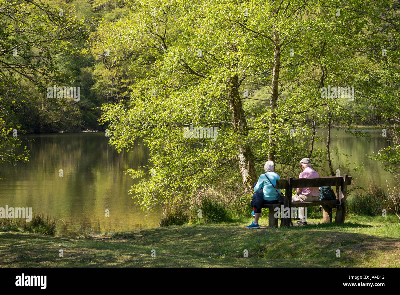 Coppia di anziani godendo lo scenario a Llyn Mair nel parco nazionale di Snowdonia, Galles del Nord, Regno Unito. Foto Stock