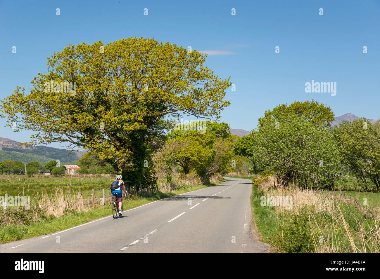 Donna in bicicletta lungo una strada di campagna nel parco nazionale di Snowdonia, il Galles del Nord. Foto Stock