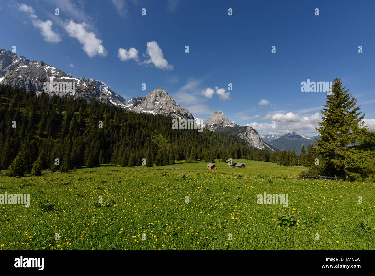 Pascolo alpino con rifugi romantici di fronte il Mieminger Kette mountain range vicino al lago Seebensee, Tirolo, Austria Foto Stock