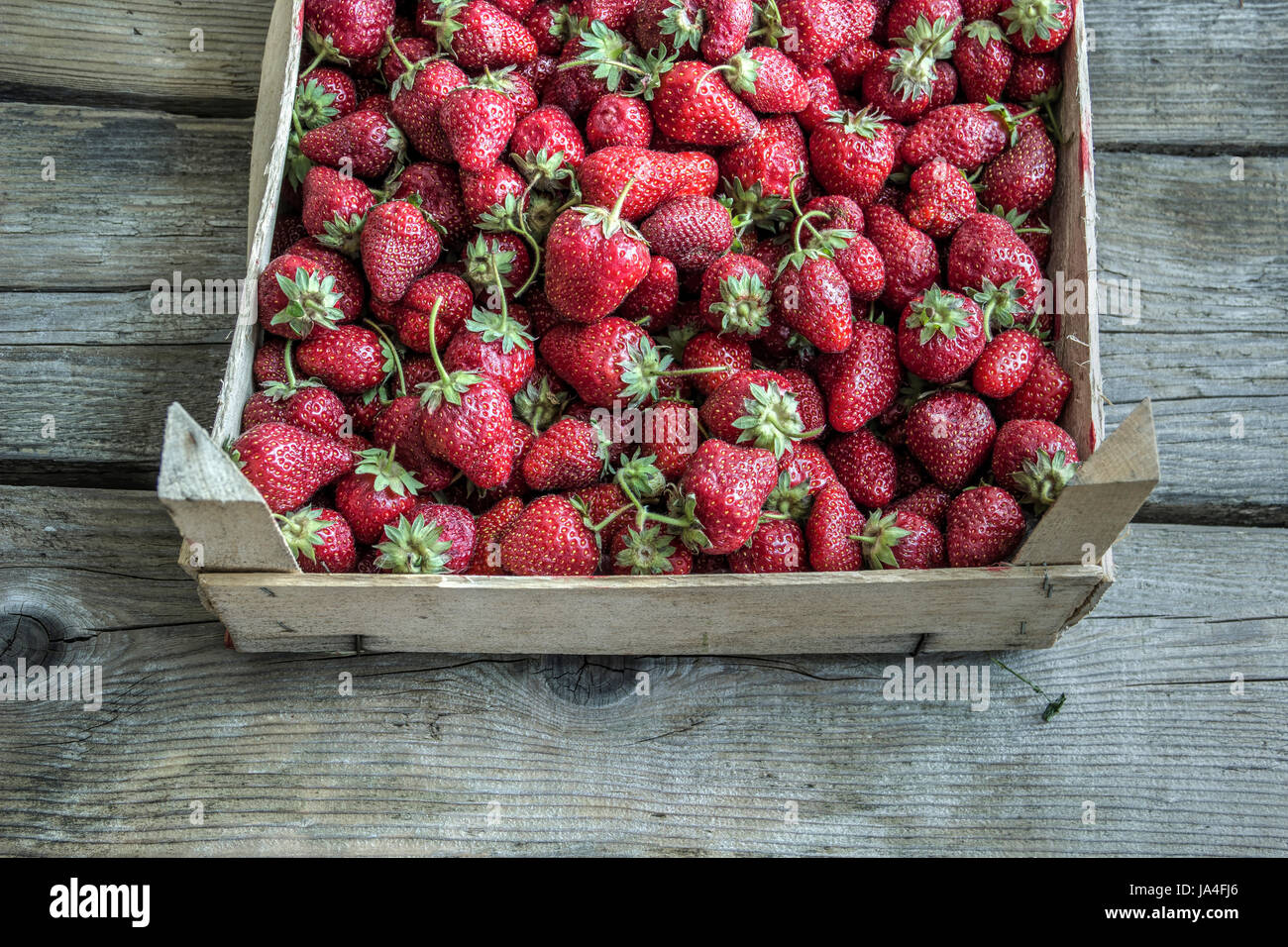 Le fragole in una scatola di legno Foto Stock