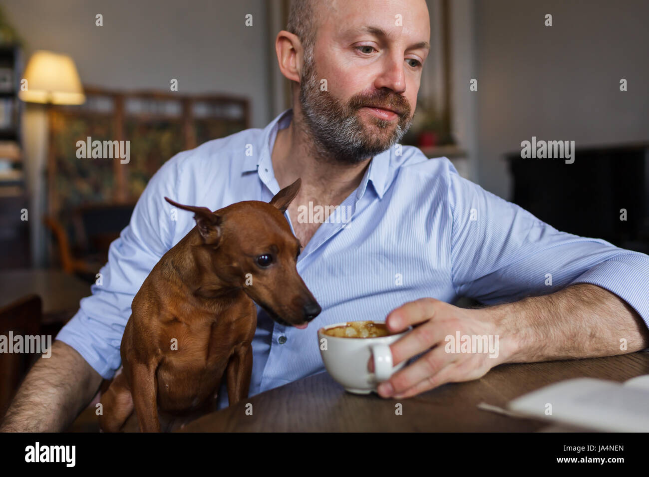L'uomo è appoggiata con il suo cane. Egli legge il libro e il cane discretamente gusti caffè dalla sua tazza Foto Stock