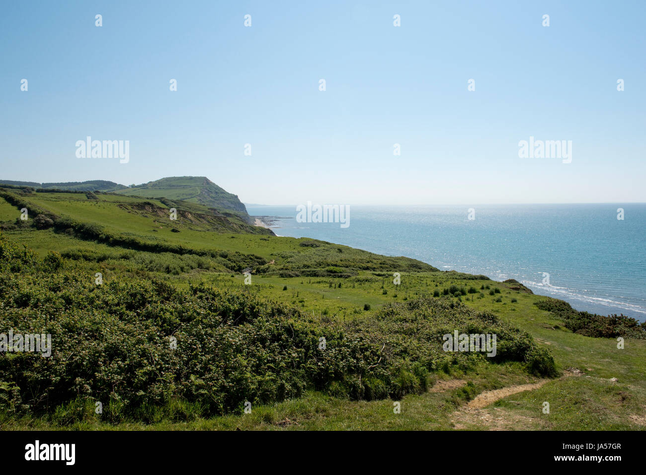 Vista da Dorset sentiero costiero di Lyme Bay e Golden Cap, il punto più alto sulla costa sud dell'Inghilterra, su una bella estate precoce dei giorni di maggio Foto Stock