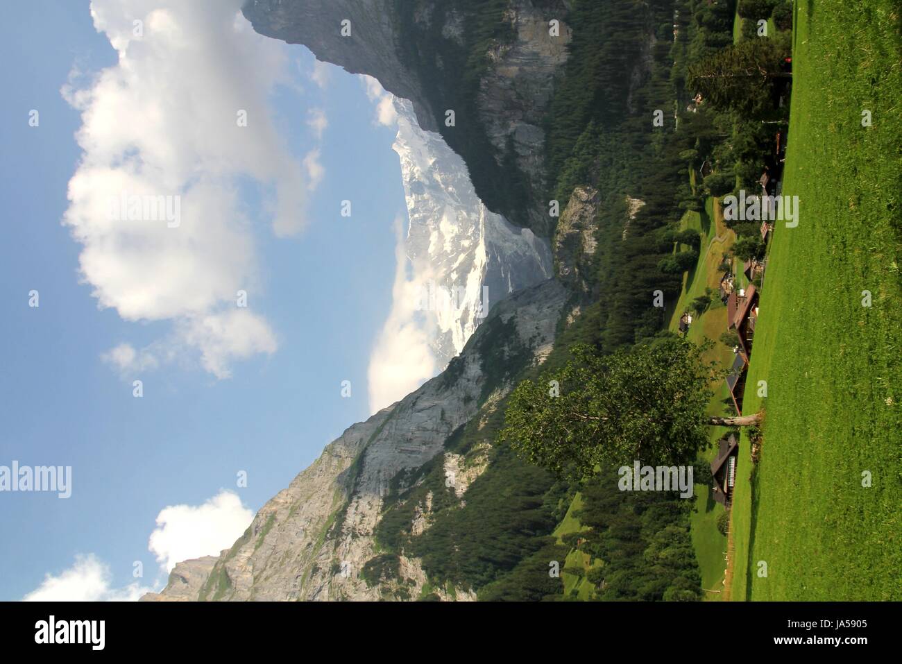 Montagne, verde Alpi, escursione, fare escursioni, escursione, estate, summerly, Svizzera Foto Stock