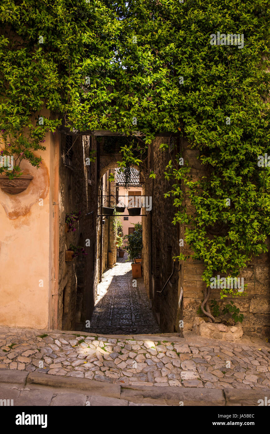 Spello. Città medievale in Italia centrale in Umbria Foto Stock