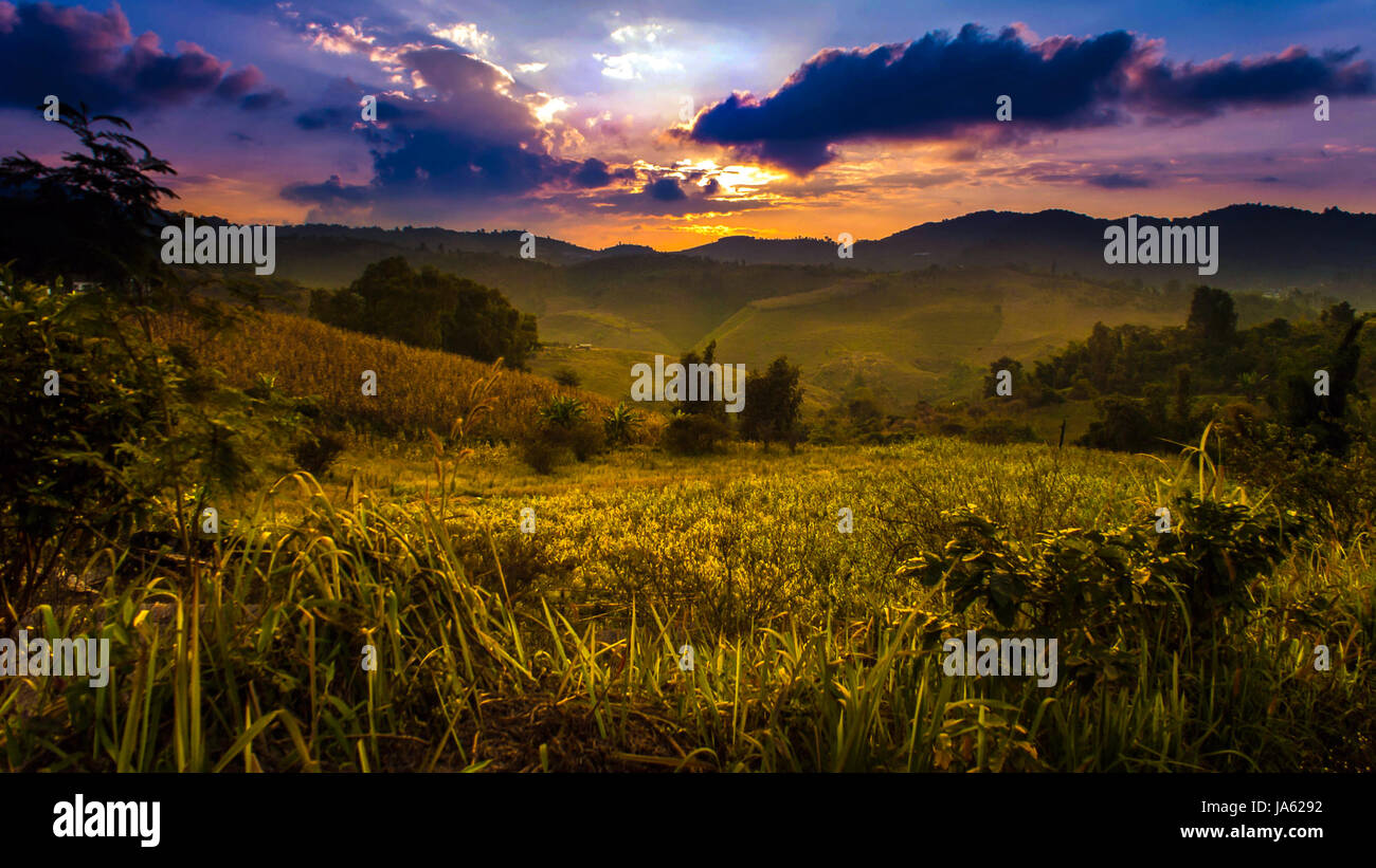 Rural raggi del sole al tramonto Foto Stock