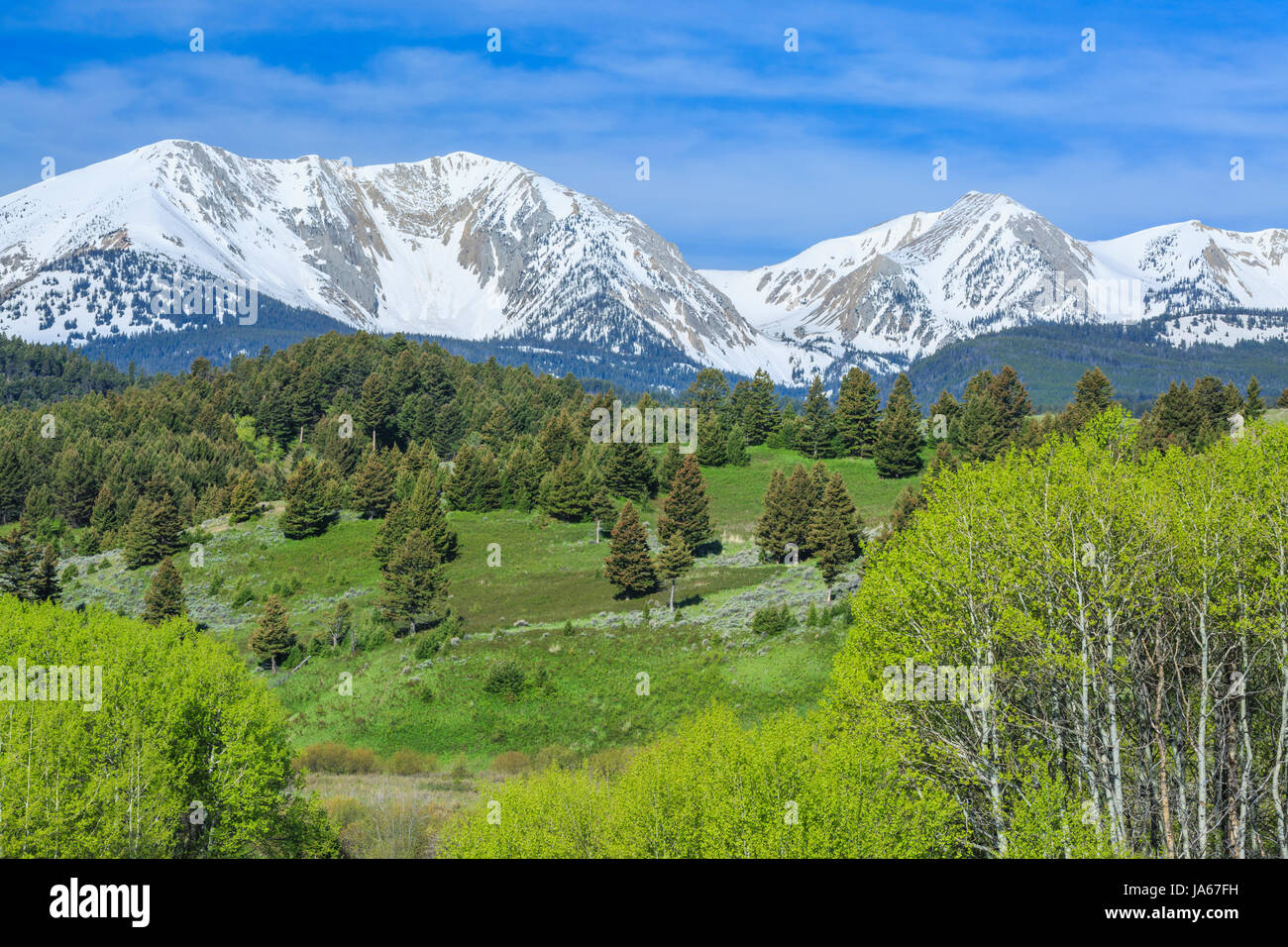 aspen e le colline sotto la neve-coperto di sacagawea picco nella catena di bridger vicino a bozeman, montana Foto Stock