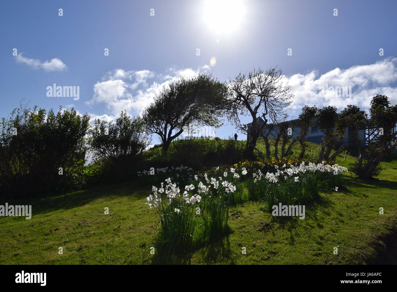 Llandudno Great Orme 2017 Foto Stock