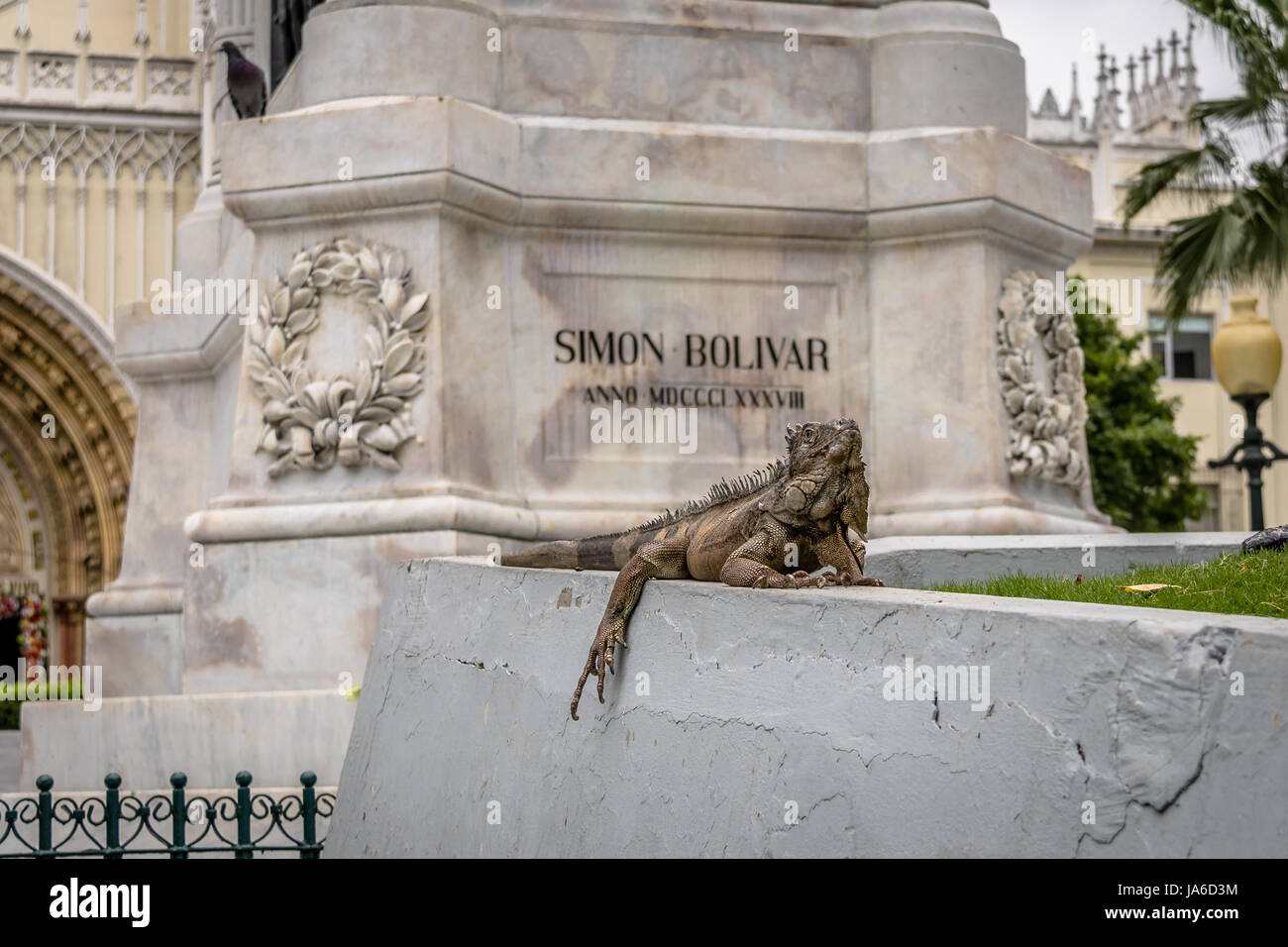 Iguana vicino a Simon Bolívar Statua al Seminario Park (Iguana Park) - Guayaquil, Ecuador Foto Stock