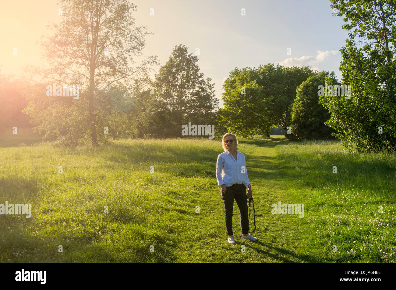 Una Donna vestita di bianco cammina il suo piccolo cane nero in un parco di Londra al tramonto in estate Foto Stock