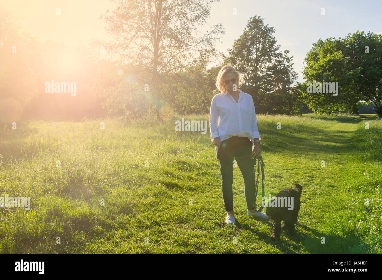 Una Donna vestita di bianco cammina il suo piccolo cane nero in un parco di Londra al tramonto in estate Foto Stock
