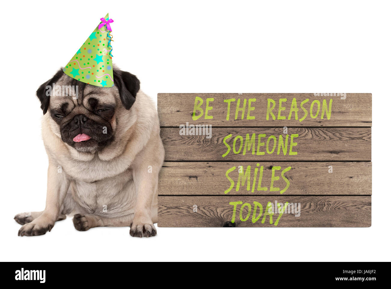 Brutto carattere pug cucciolo di cane con il cartello in legno con testo di essere il motivo per cui qualcuno sorride oggi, isolati su sfondo bianco Foto Stock