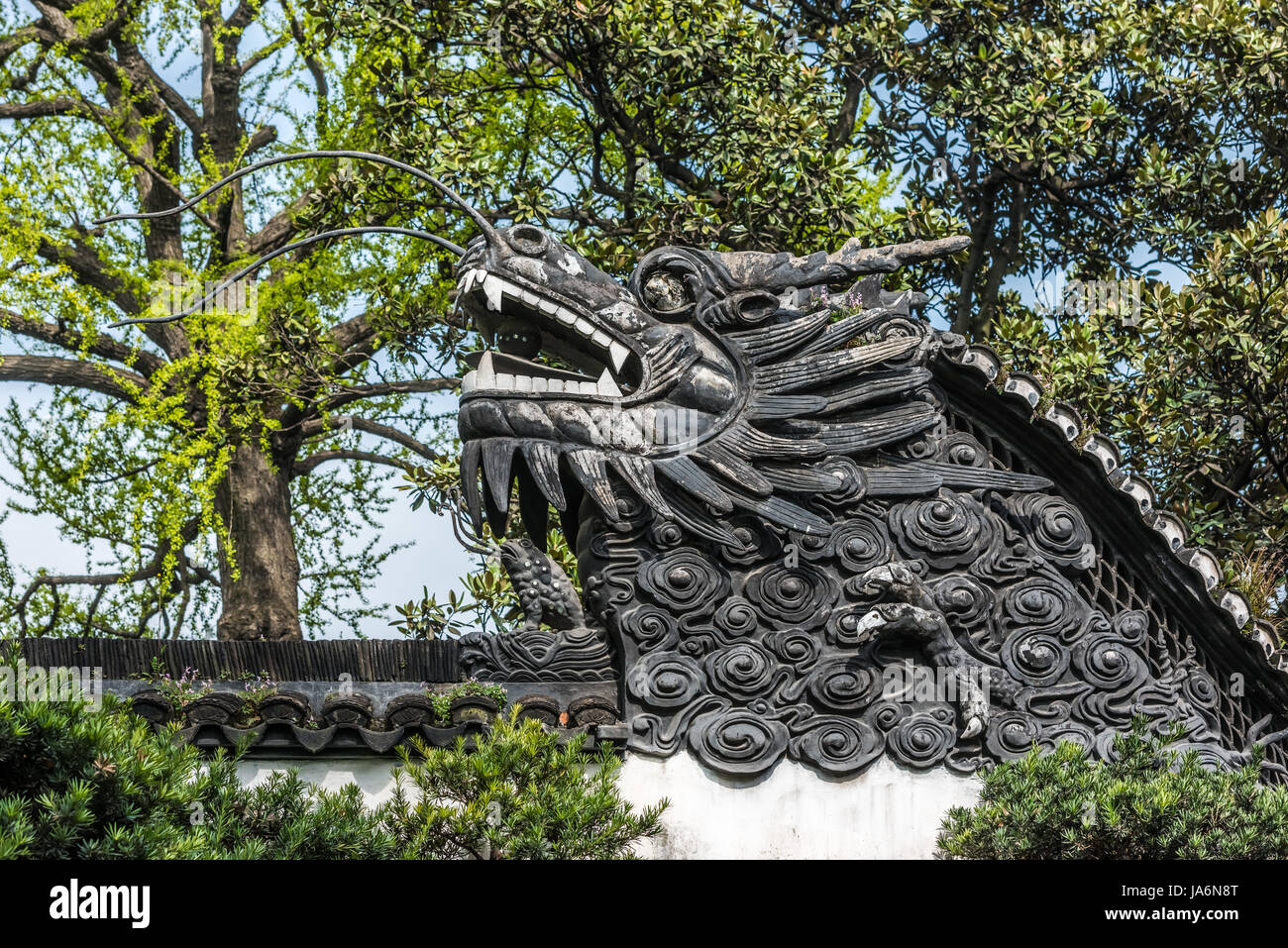 Dettaglio della storica Il Giardino di Yuyuan creato nell'anno 1559 dal Pan Yunduan a Shanghai in Cina Foto Stock