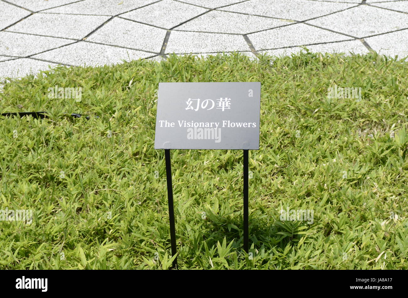 YAYOI KUSAMA - Matsumoto City Museum of Art - ospita una mostra di artista locale Yayoi Kusama intitolata l'eternità di eterna eternità da 14 Lug - 04 Nov 2012. All'arrivo i visitatori sono soddisfatte da grandi sculture tulip intitolato "visionario di fiori" - Matsumoto, Nagano Pefecture, Giappone - 28 lug 2012. Photo credit: George mento/IconicPix Foto Stock