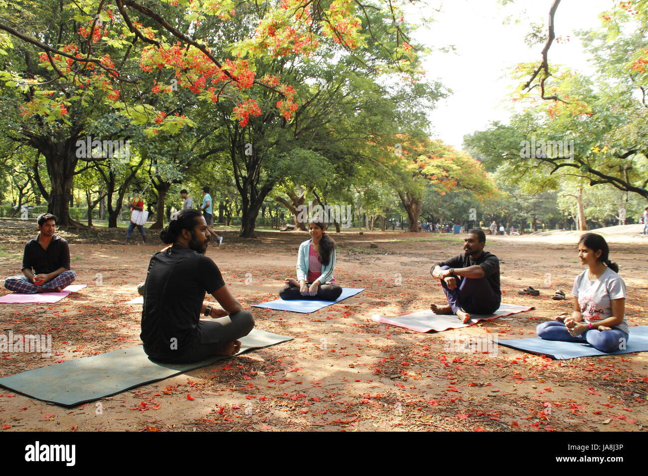 Un gruppo di giovani indiani di eseguire lo yoga in Cubbon Park, Bangalore, India Foto Stock