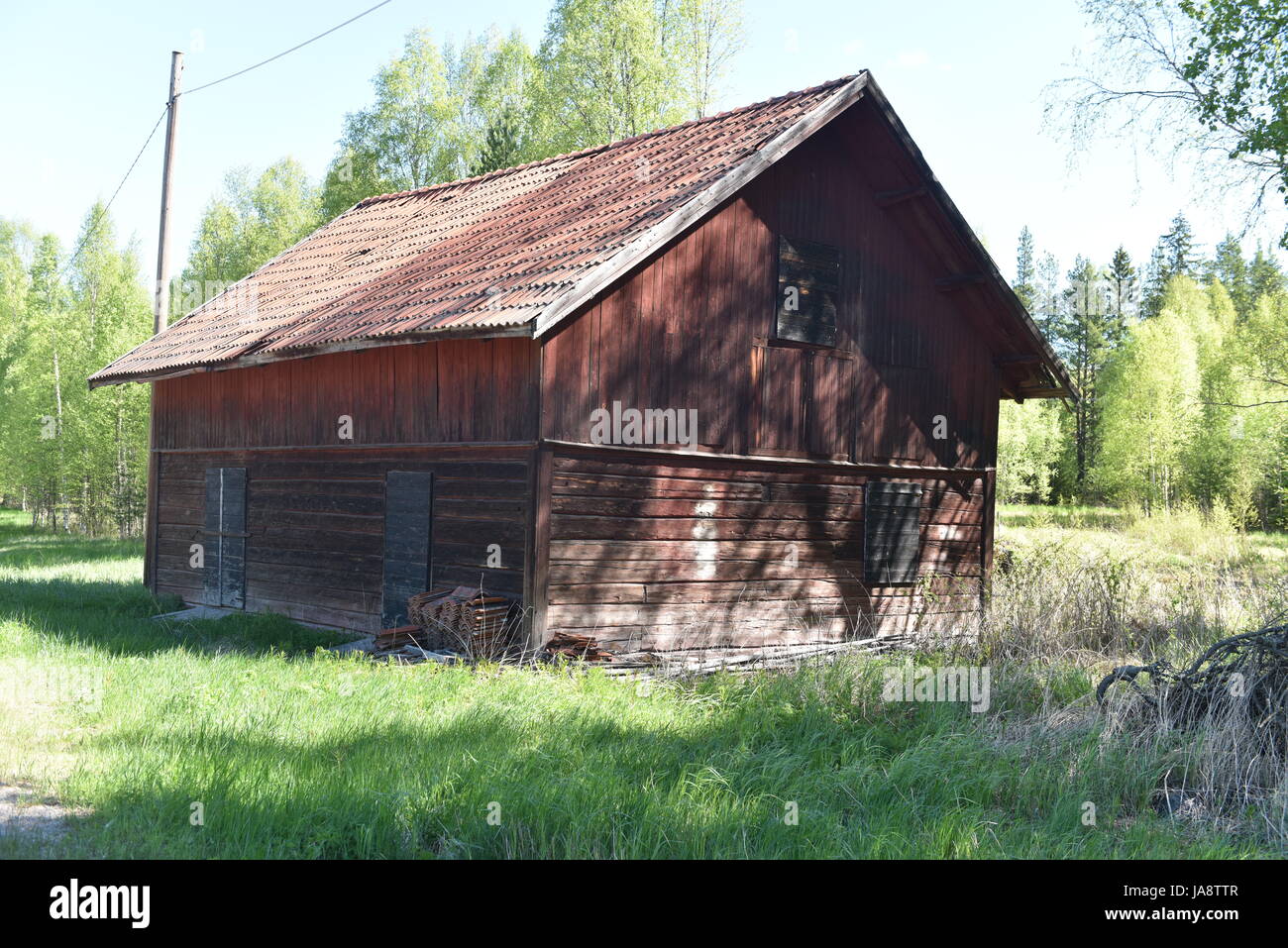 Vecchio fienile in legno nella Svezia rurale circondato da alberi verdi e erba in una soleggiata giornata primaverile, simboleggiando la tradizionale vita rurale scandinava Foto Stock