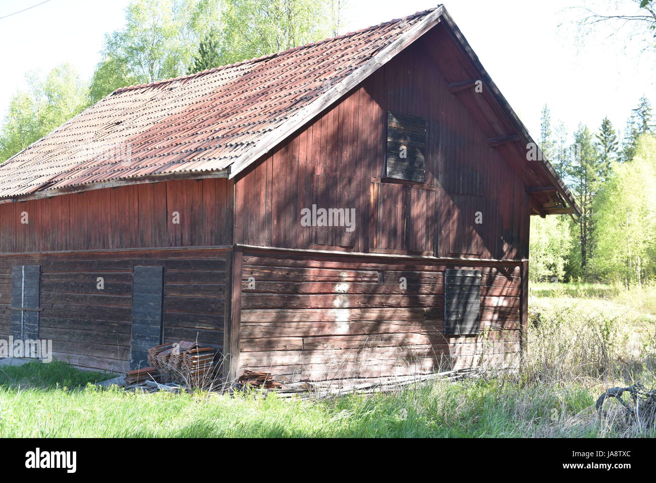 Vecchio fienile in legno nella Svezia rurale circondato da alberi verdi e erba in una soleggiata giornata primaverile, simboleggiando la tradizionale vita rurale scandinava Foto Stock