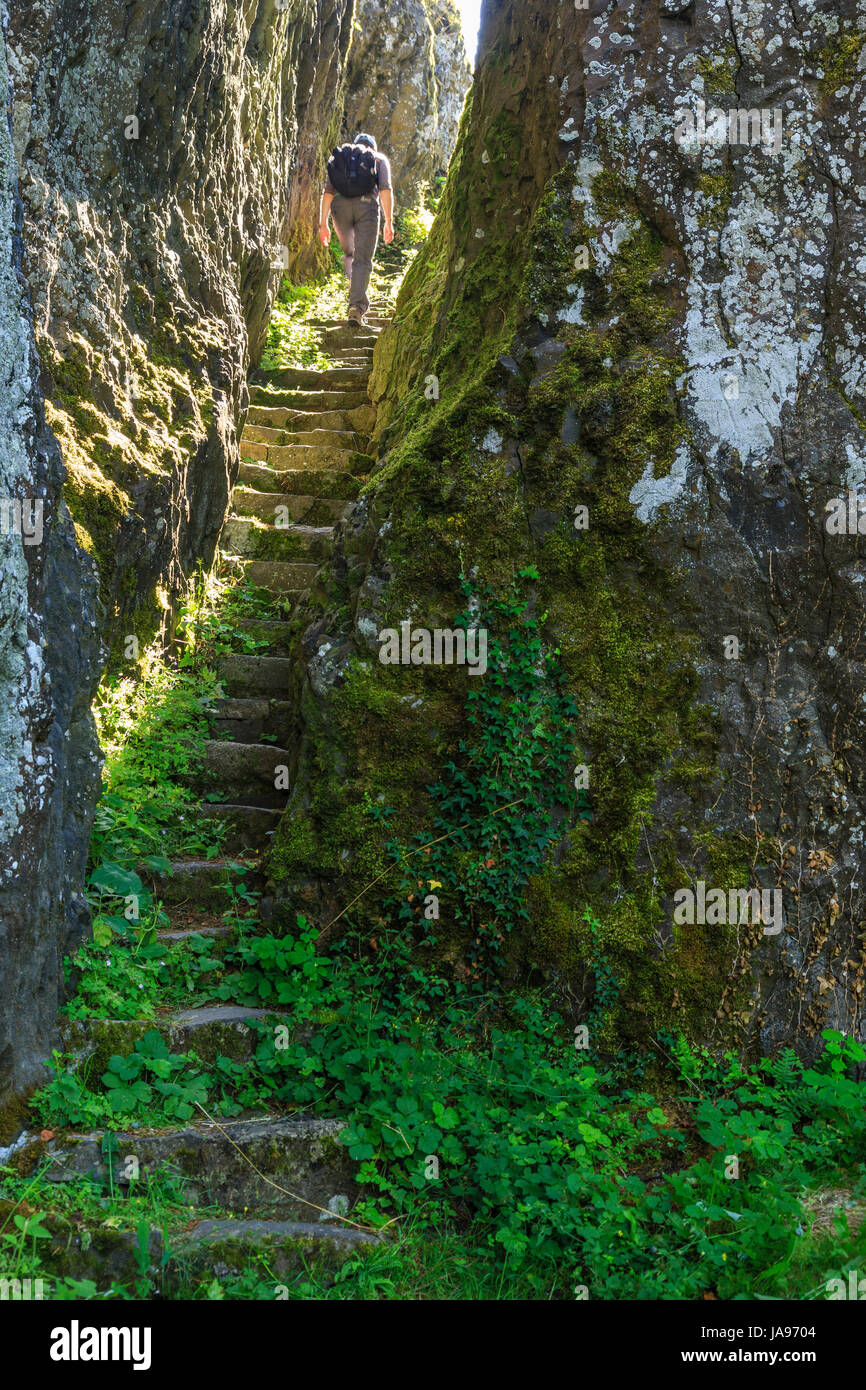 Francia, Cantal, Carlat, Rocher de Carlat, Escalier de la Reine tagliati nella roccia che conduce ad una tabella basaltica, dove era una fortezza Foto Stock