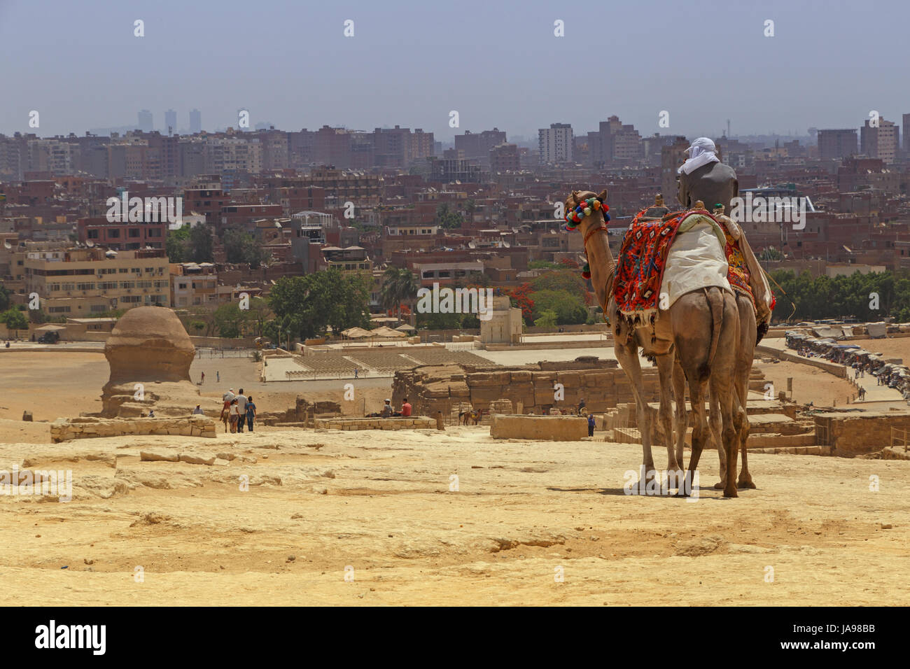 Paesaggio con uomo a dorso di cammello contro cityscape di Cairo Foto Stock