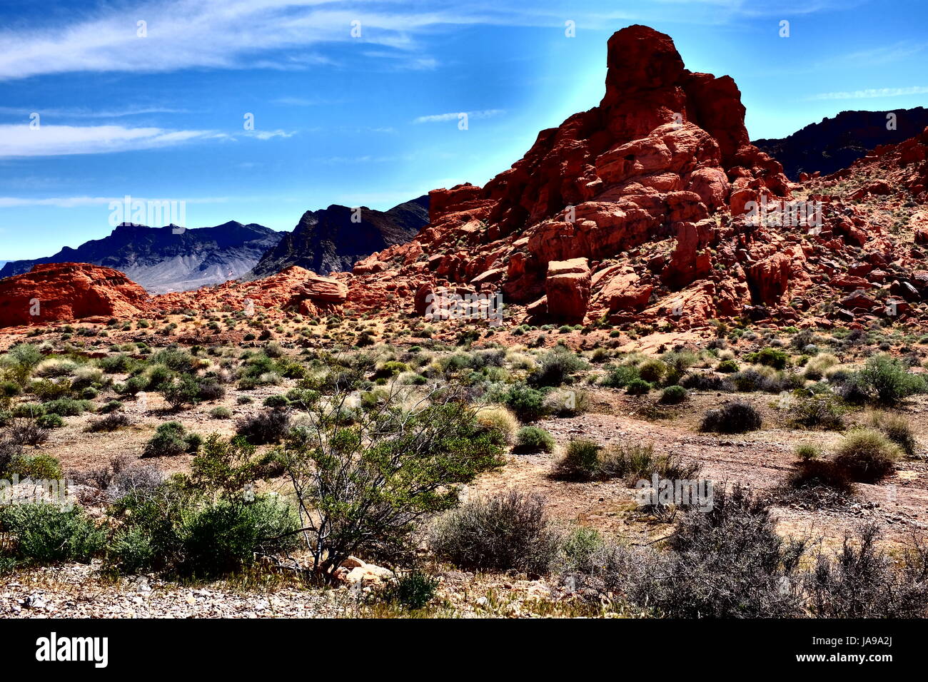 West Rim del Grand Canyon, il deserto del Nevada, STATI UNITI D'AMERICA Foto Stock