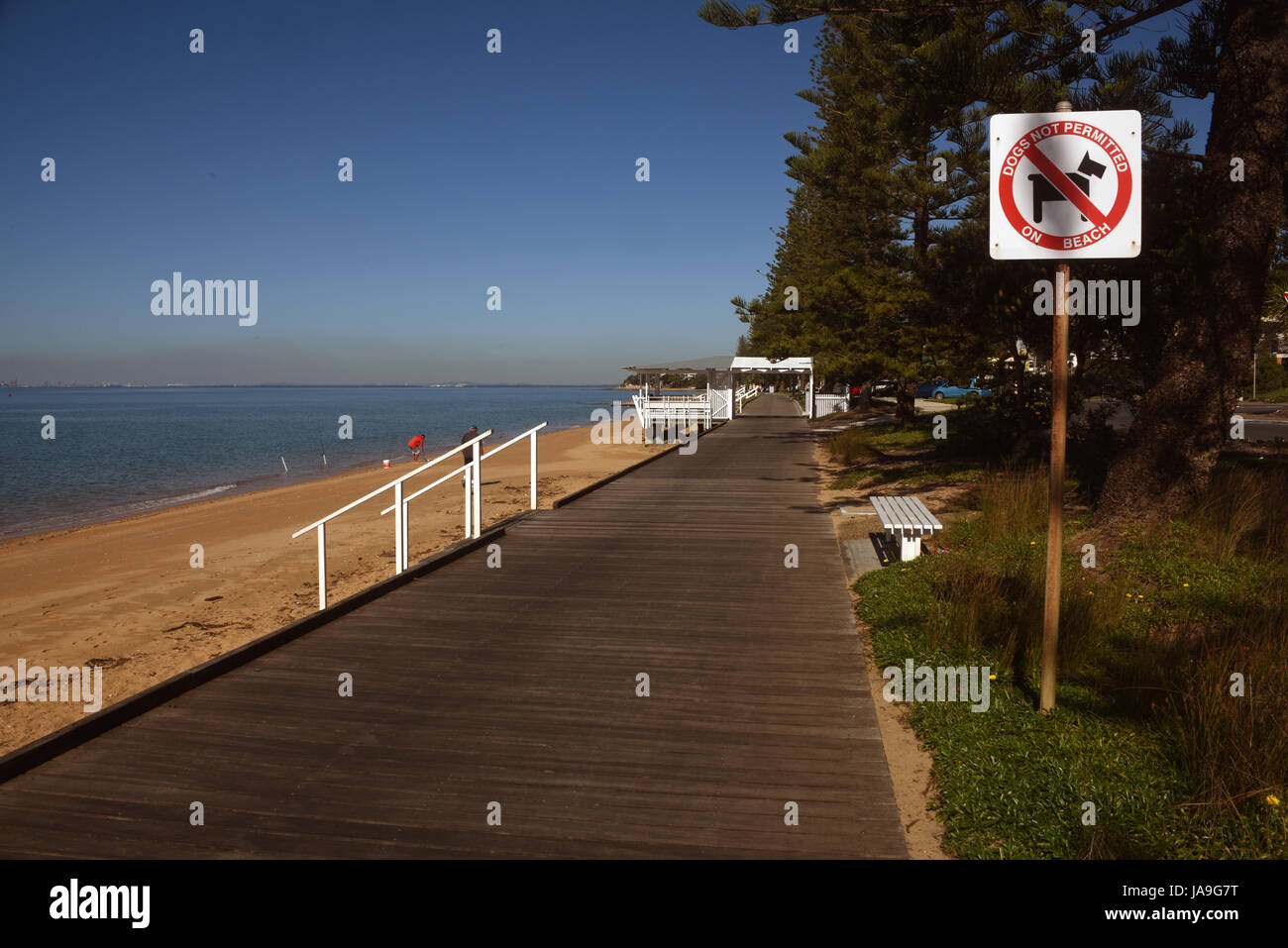 Margate, Redcliffe, Australia: Margate fronte spiaggia sulla Moreton Bay con 'No cani sulla spiaggia' firmare Foto Stock