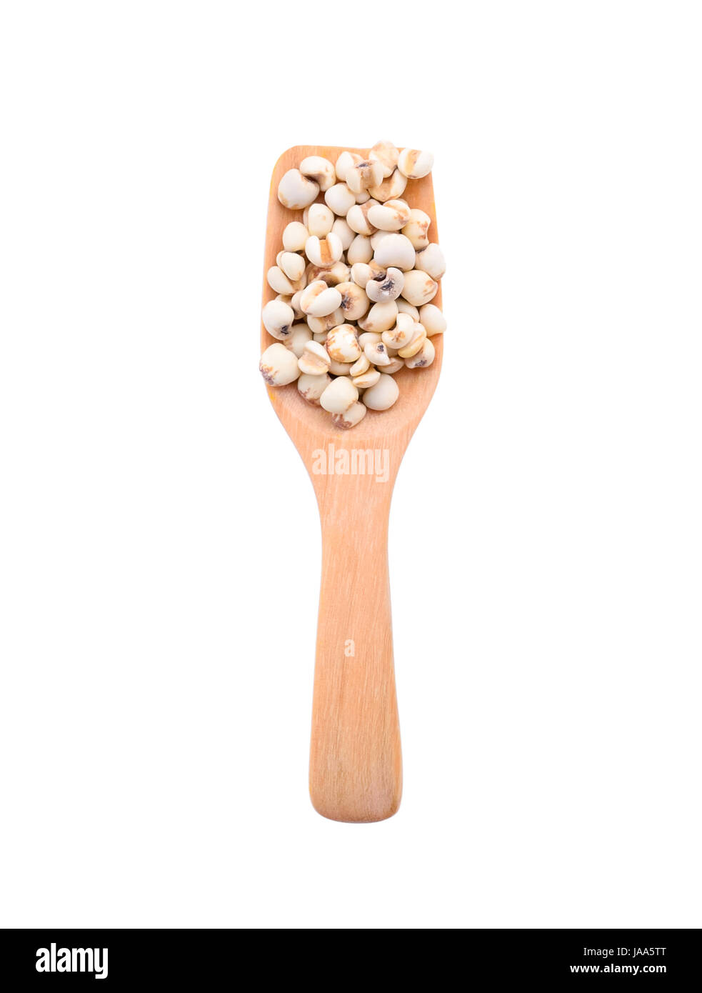 Grani di miglio su sfondo bianco Foto Stock