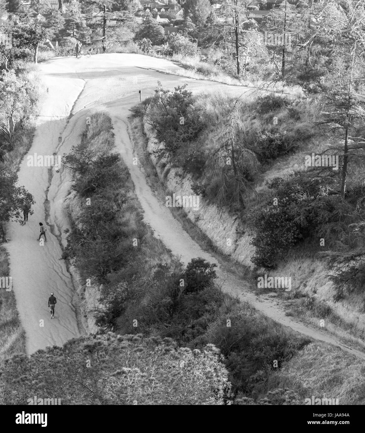 Griffith Park Trail Foto Stock