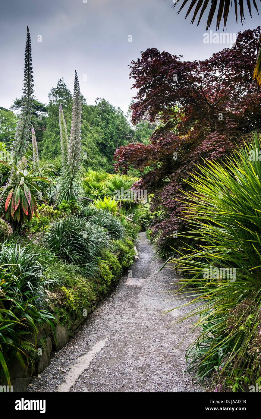Percorso in sub-tropicale giardino Trebah in Cornovaglia; Foto Stock