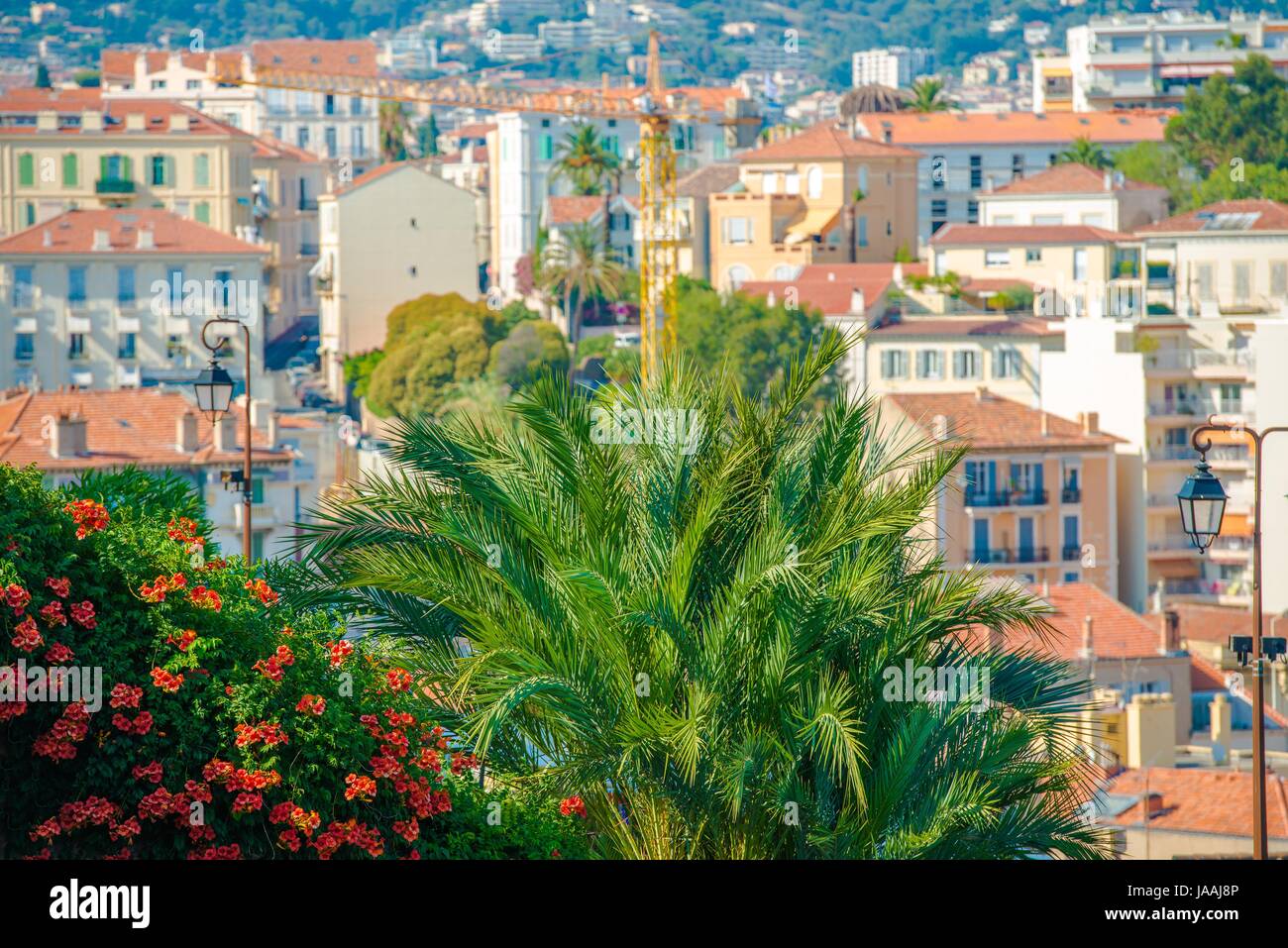 Architettura di Cannes Francia. Cannes palme e fiori. Foto Stock