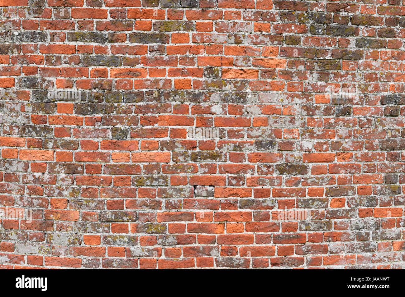 Muro di mattoni di vecchi ruvida mattoni rossi Foto Stock