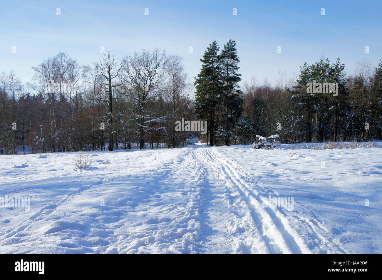 Gerader Weg durch eine Winterlandschaft; sonniger Tag mit blauem Himmel percorso rettilineo attraverso un paesaggio invernale; giornata soleggiata con cielo blu Foto Stock