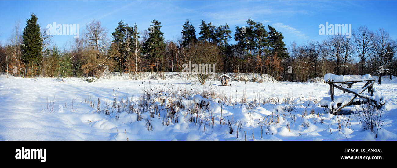 Panorama einer idyllischen Winterlandschaft; kahle Laubbäume, Nadelbäume und Spuren im Schnee; blauer Himmel Panorama di un idilliaco paesaggio invernale; bald di alberi decidui, conifere e sentieri nella neve; blue sky Foto Stock