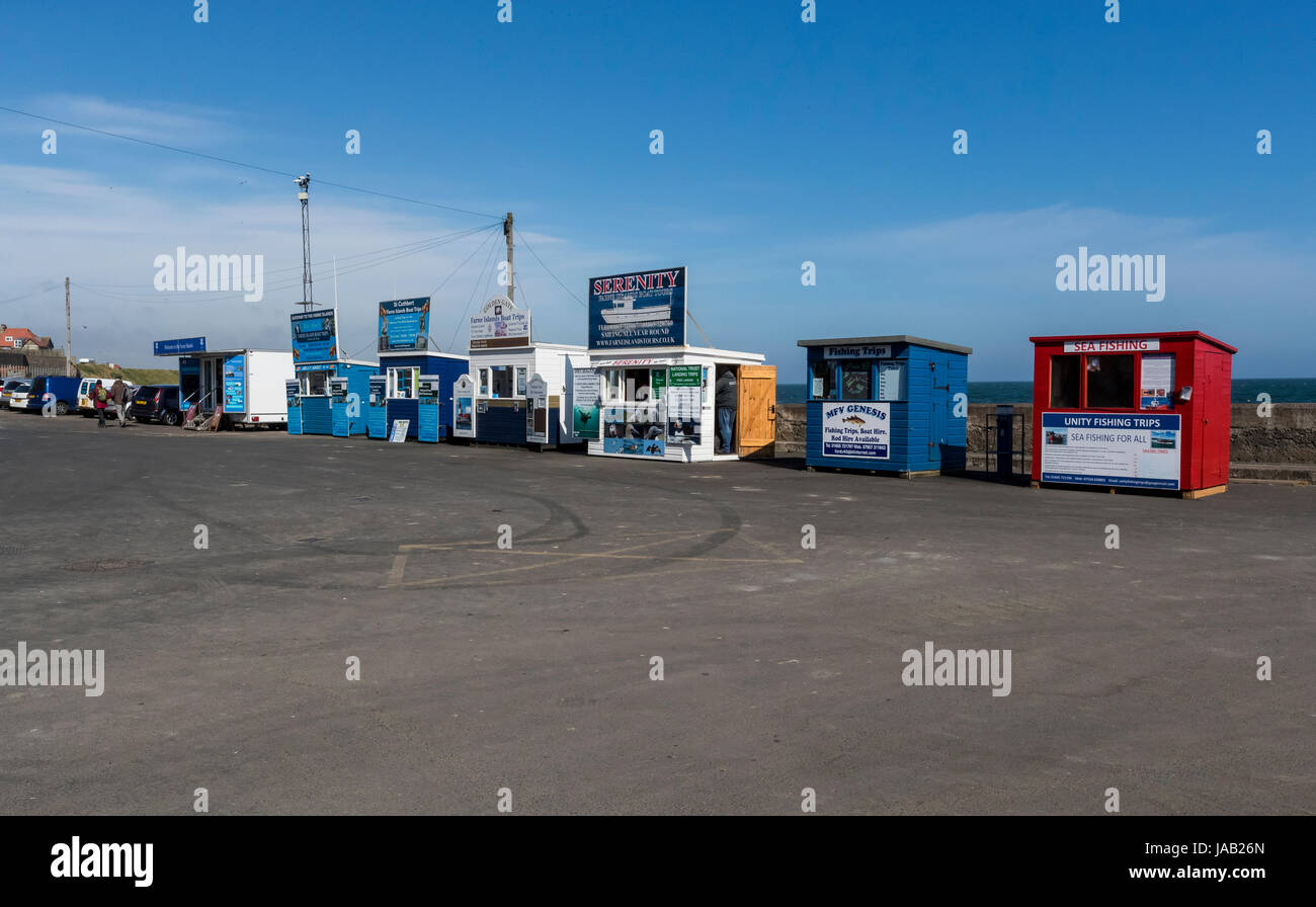 Seahouses Harbour, Northumberland. Regno Unito. Foto Stock