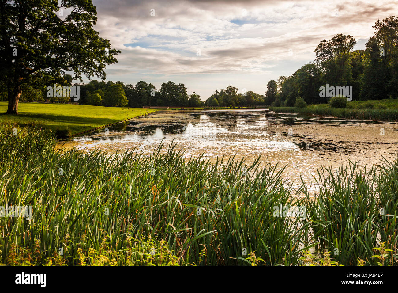 Un estate alba sul lago a Lydiard Park a Swindon, Wiltshire. Foto Stock
