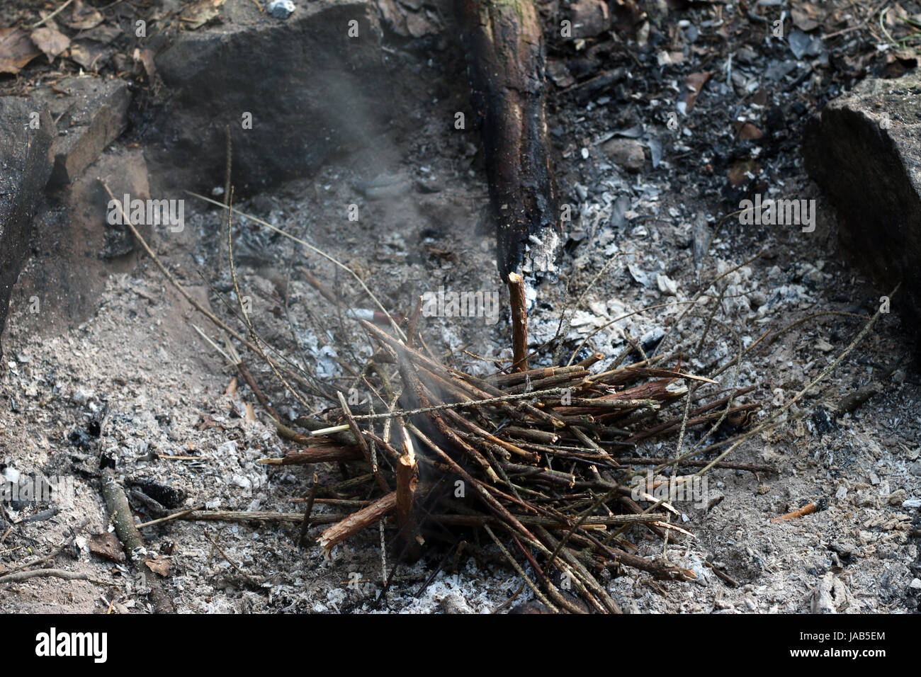 Il fuoco che fa con rami sottili di conifera - dettaglio Foto Stock
