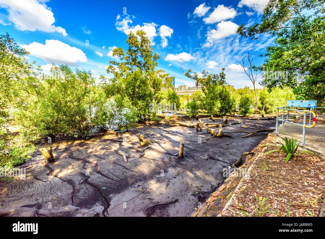 Fiume Brisbane, Southbank e il Giardino Botanico opinioni Foto Stock