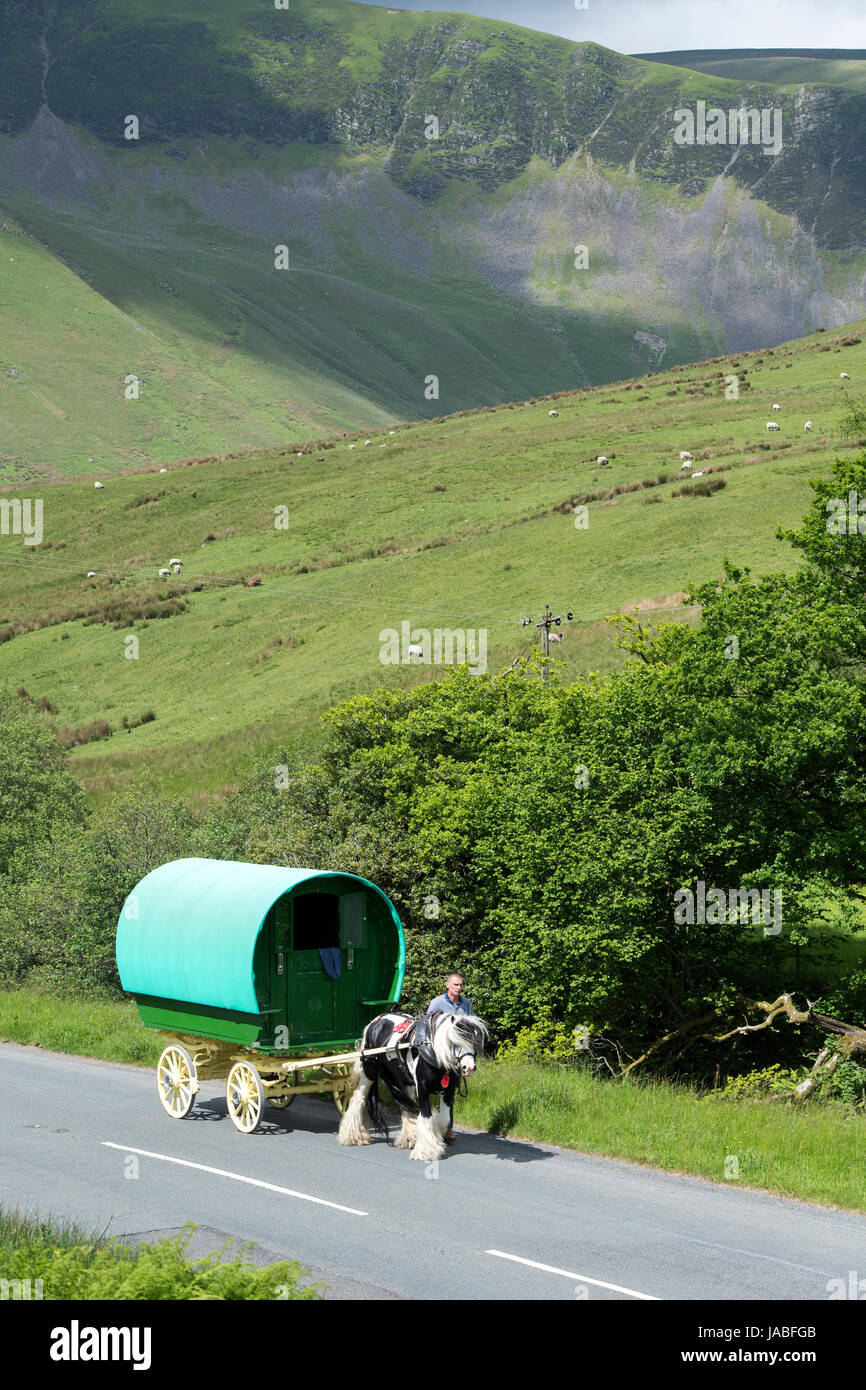 Gypsy viaggiatori con cavallo e caravan sulla A683 vicino Cautley, Cumbria, Regno Unito. Foto Stock