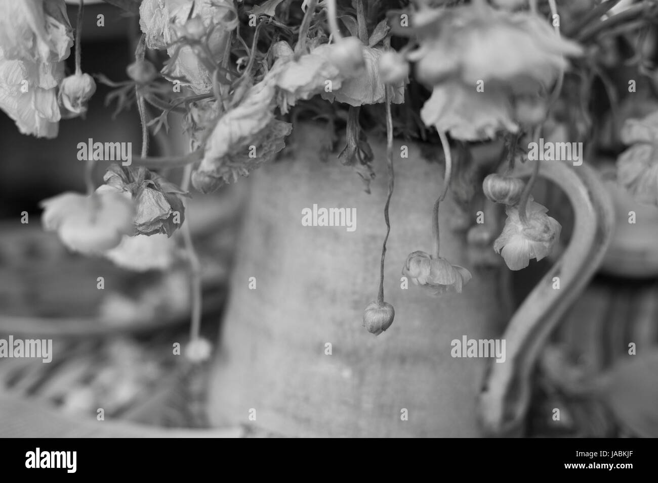 Vaso con fiori Foto Stock