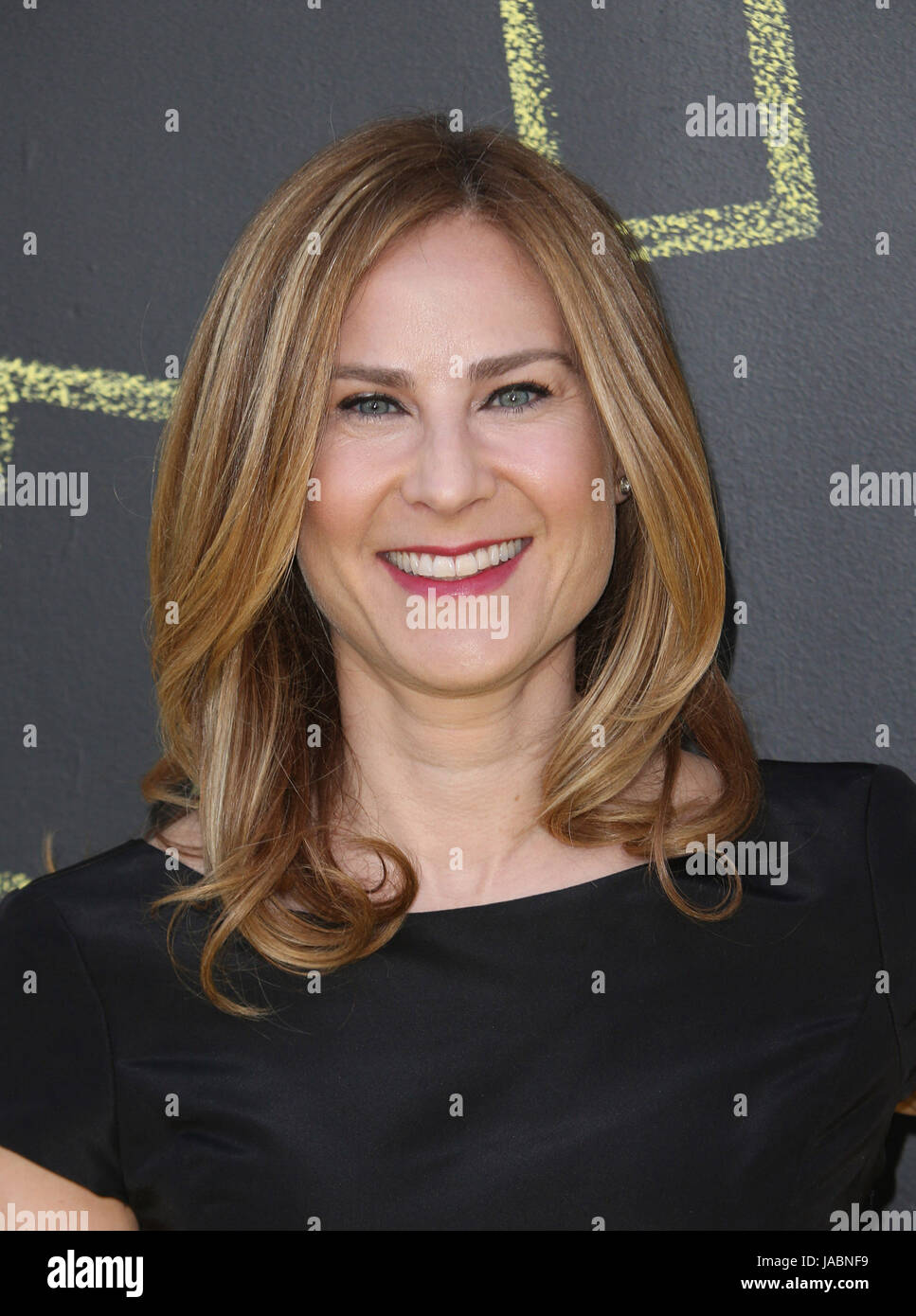 Il National Geographic's Premiere Screening di 'Genius' dotata di: Rachel Shane dove: Westwood Village, California, Stati Uniti quando: 25 Apr 2017 Credit: FayesVision/WENN.com Foto Stock