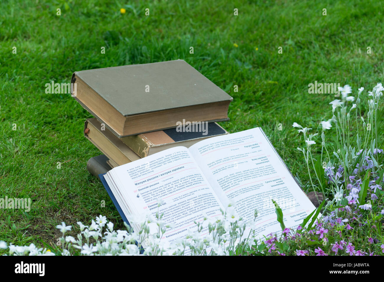 Prenota sull'erba Foto Stock