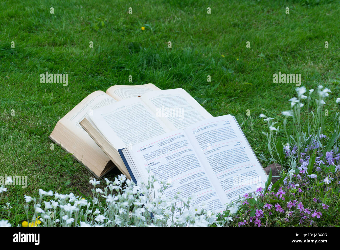 Prenota sull'erba Foto Stock