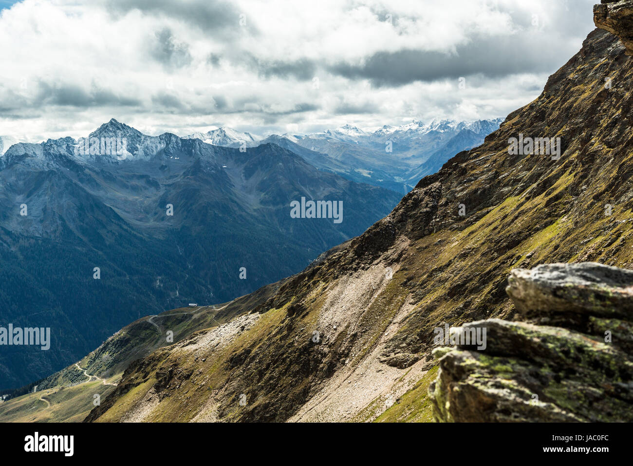 Gli animali delle alpi Foto Stock